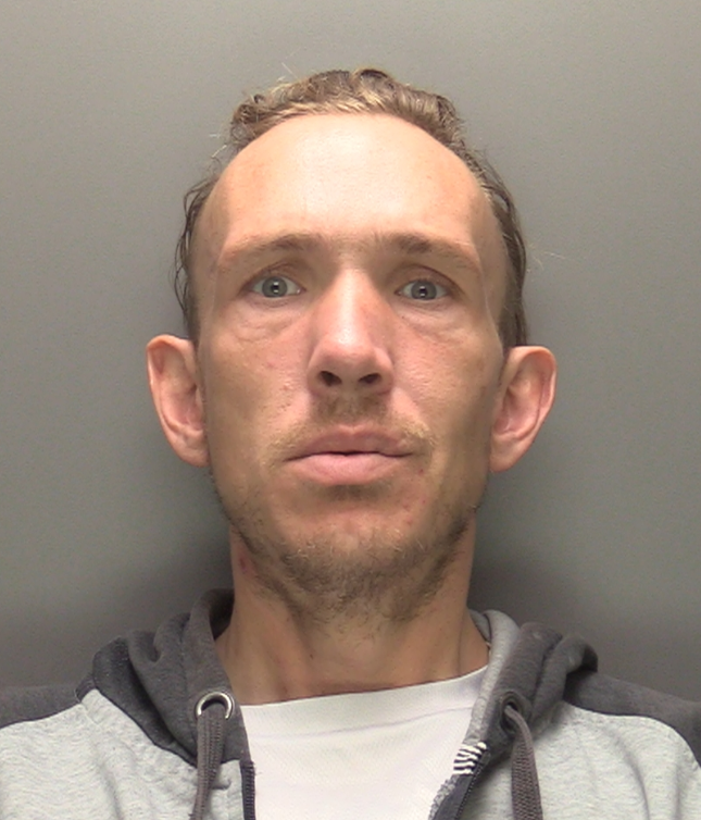 Man with light hair and similar colour facial hair faces the camera wearing a two-tone grey zip up hoodie and white t-shirt.