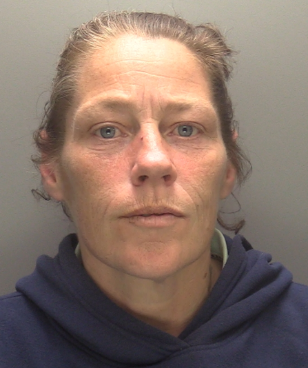 Custody image of a middle-aged woman with blue eyes and light brown hair, wearing a blue hooded sweatshirt.