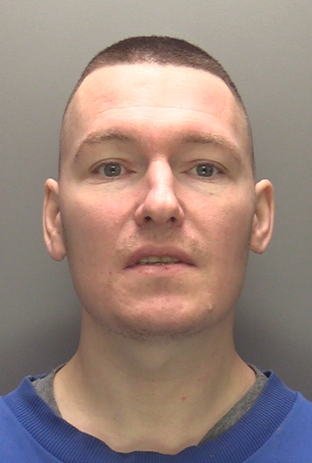 Man with mid-brown cropped hair is wearing a royal blue sweater with a grey t-shirt underneath