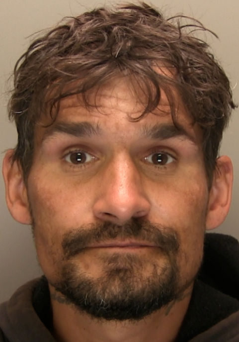 Man with mid length mid-brown wavy hair with beard and moustache wearing a dark hoodie.